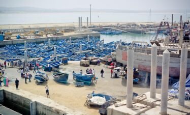 Essaouira – Taghazout – Tamri